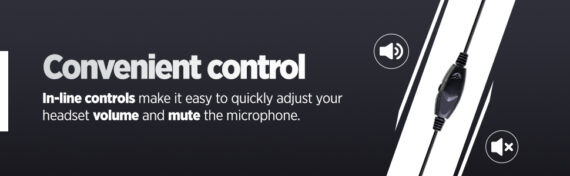 970X300-Controls